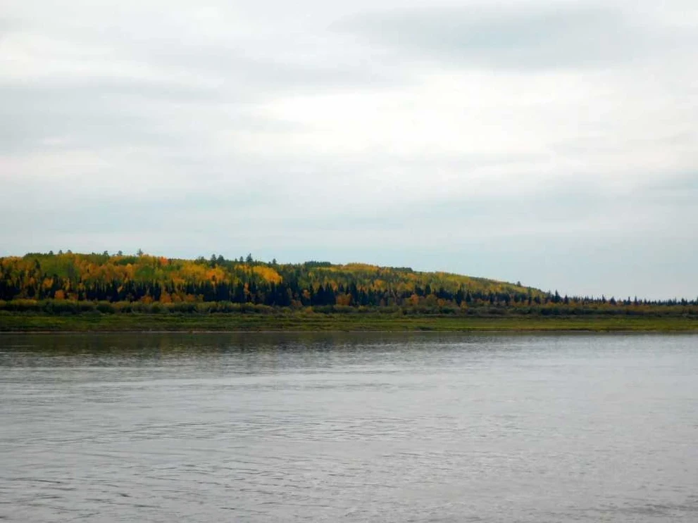DSCN6650.JPG