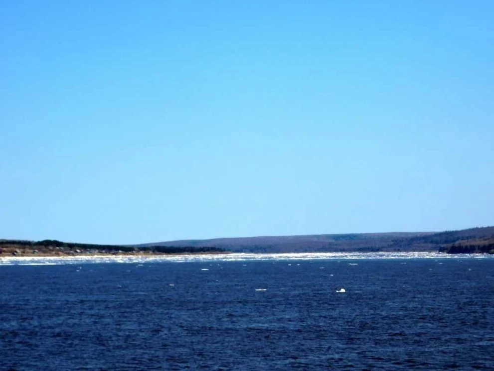DSCN0979.JPG