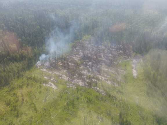 В Красноярском крае действует 34 лесных пожара