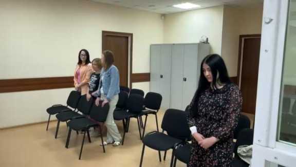 Няню-мучительницу из Красноярска ждет 3 года колонии