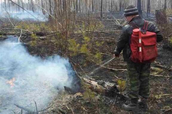 13 лесных пожаров потушили в Иркутской области за минувшие сутки