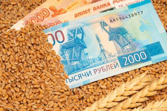 Господдержку аграрии Алтайского края могут получить уже в марте