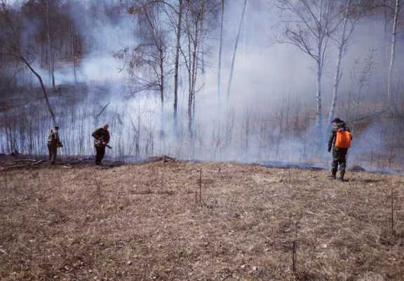 В лесах Иркутской области потушили два пожара
