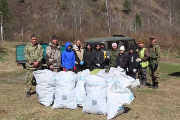 В Алтайском крае юные экологи со специалистами природоохраны участвовали в акции «Чистый лес»