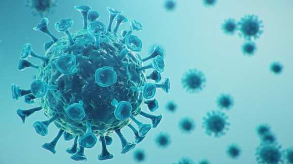 В Красноярском крае ещё 72 человека заболели коронавирусом