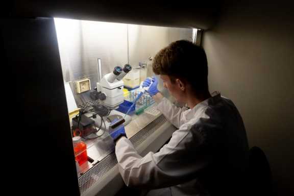 Биологи ТГУ будут бороться с инфекционным клещом при помощи микробов