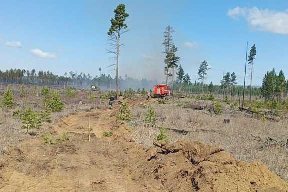 11 лесных пожаров потушили в Приангарье за последние сутки