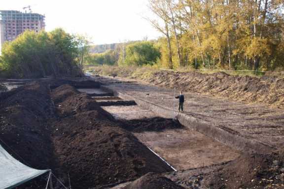 В Новосибирске пройдёт археологический экосубботник