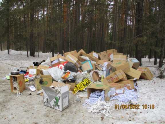 В Кировском районе Томска предотвратили образование незаконной свалки в лесу