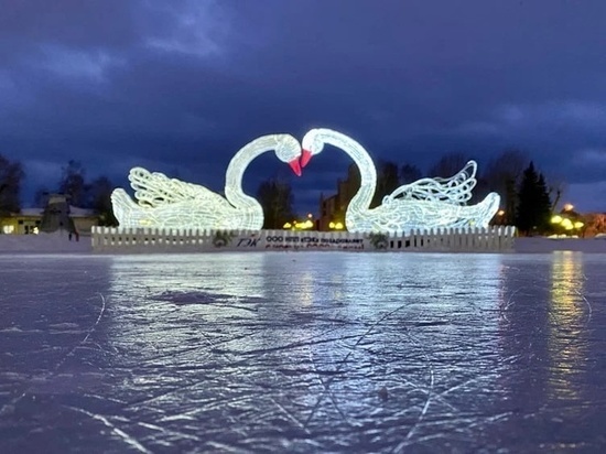На Белом озере в Томске установят светодиодные фигуры лебедей