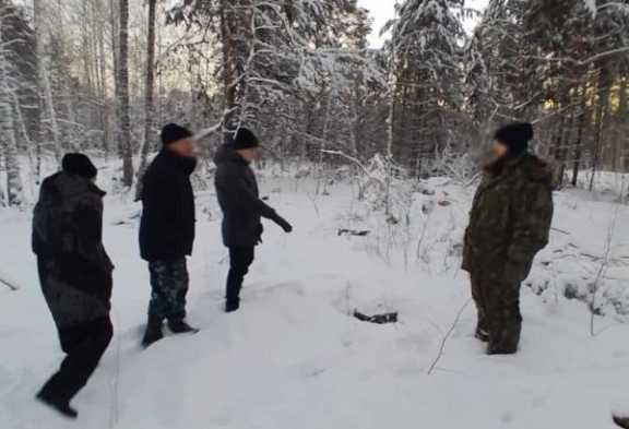В Томской области за рубку леса мужчины могут заплатить 3 миллиона рублей