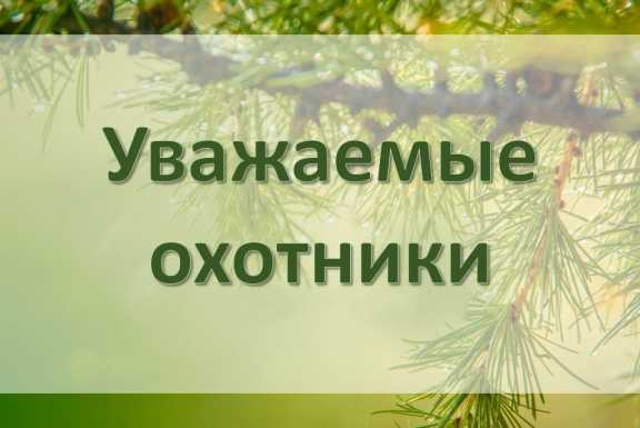 В Новосибирской области с 15 июня откроется сезон охоты на сурков