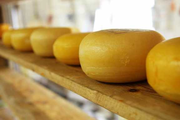 Более 60 тысяч тонн сыра в 2021 году произвели предприятия Алтайского края 