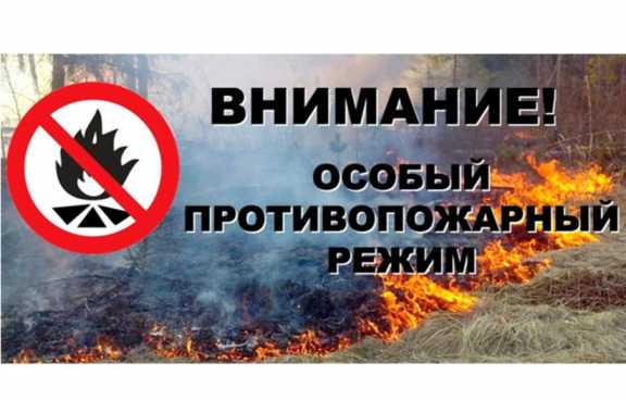 Власти Тувы намерены продлить особый противопожарный режим