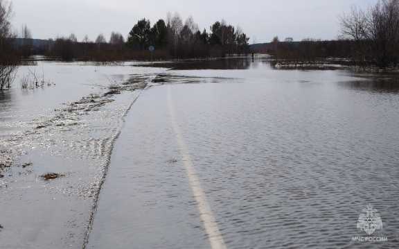 В Томской области уровень воды в реке Томь поднялся более чем на полметра