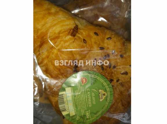 В Красноярском крае продаётся самса с тараканами