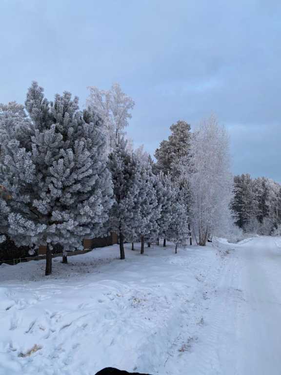 Погода в Красноярске на 5 февраля