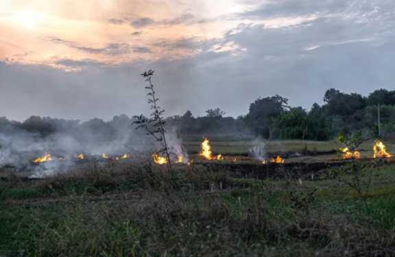  В Красноярском крае действуют 30 пожаров