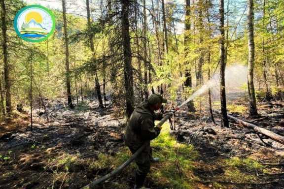 В Туве горят леса на площади почти 3 тысячи гектаров