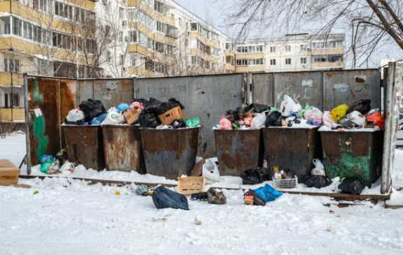 В Алтайском крае поищут мусорные контейнеры