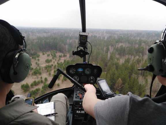 В Красноярском крае увеличили маршруты патрулирования лесов