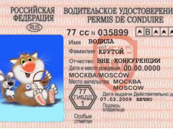 В Томске задержали кемеровчанина за выдачу липовых водительских прав