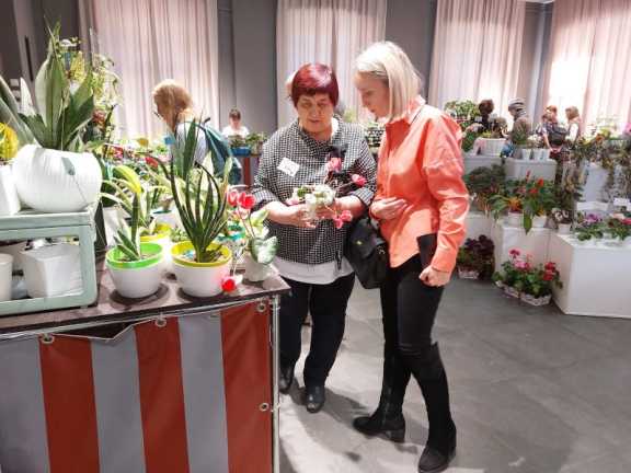 В Иркутске открылась выставка комнатных растений