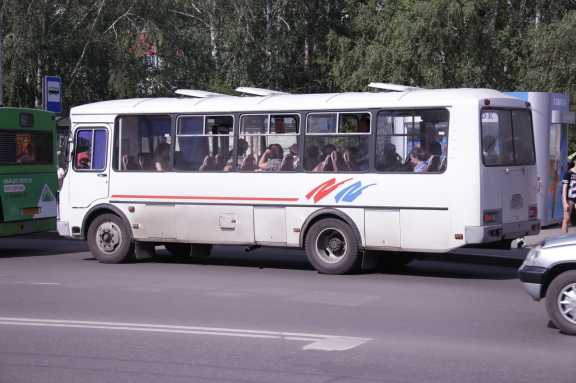 В Красноярске Пашенный и «Тихие Зори» свяжут автобусы