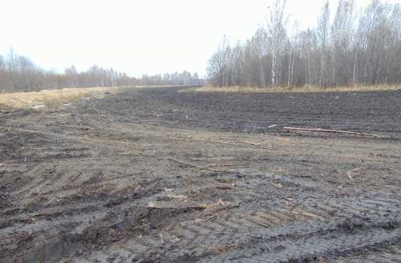 В Красноярском крае в Большемуртинском районе устранена угроза вреда окружающей среде