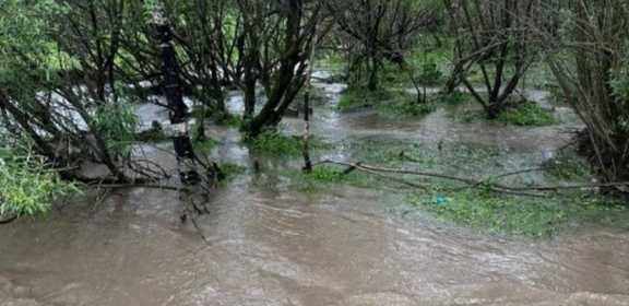 На Алтае разлилась река Майма из-за дождей
