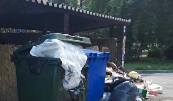 Жители Новосибирска пожаловались на стихийную свалку рядом с зоопарком