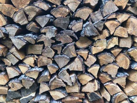   В Красноярском крае на четверть сократили незаконную добычу древесины