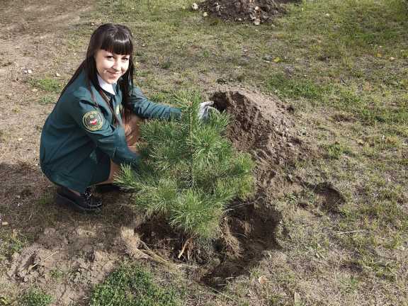 В Хакасии проходит всероссийская акция «Сохраним лес»