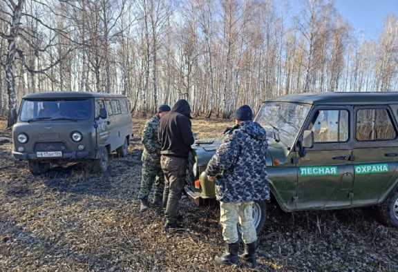 В Рыбинском районе Красноярского края поймали поджигателей леса