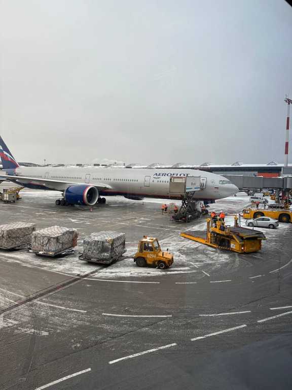 «Победа» отменила прямые рейсы Новосибирск — Санкт-Петербург