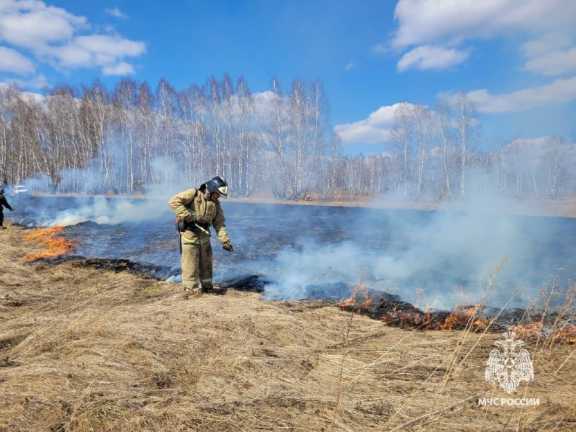 17 лесных пожаров потушили в Красноярском крае за прошедшие сутки