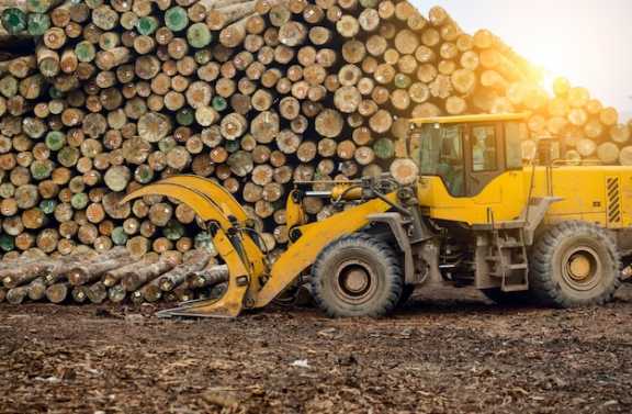 В Красноярском крае возбудили дело за контрабанду древесины на 20 млн рублей