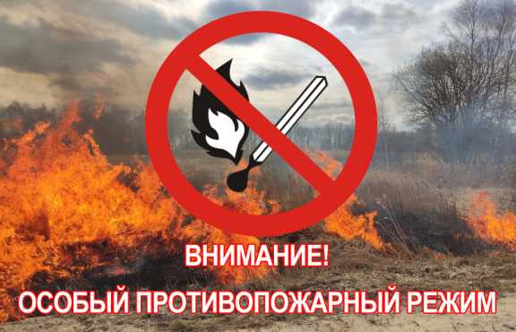 В Хакасии запретили разводить костры 