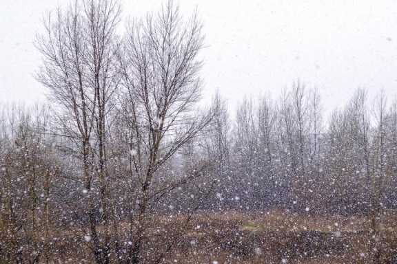  Сильный ветер, снег с дождём и похолодание обещают в Хакасии