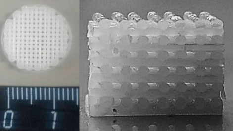 Красноярские учёные создали полностью биоразлагаемые пластиковые 3D-каркасы для регенерации костной ткани 