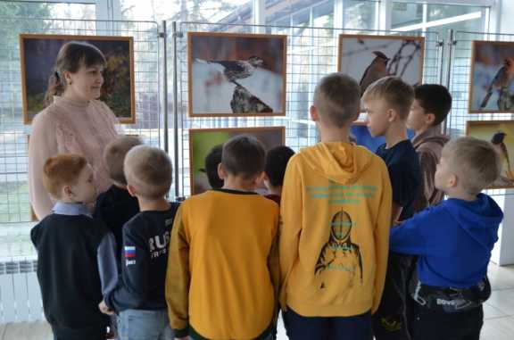 Воспитанникам Шушенского детского дома рассказали о птицах Красноярского края  