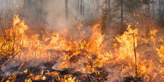 На севере Красноярского края горят леса на площади 6 тыс. га