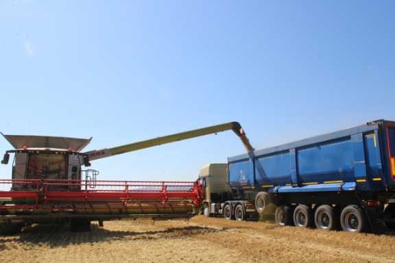 В Красноярском крае собрали более полумиллиона тонн зерна
