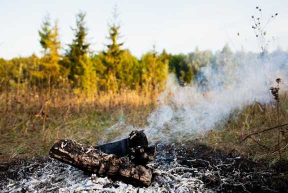 В Красноярском крае удалось взять лесные пожары под контроль