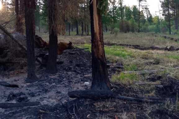 В Туве действуют 22 лесных пожара, 2 из них уже локализованы 