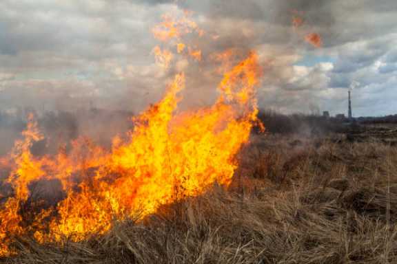 В Хакасии пытаются найти свидетелей мартовского степного пожара 