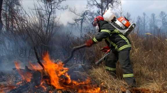 Накануне в Хакасии ликвидировали два лесных пожара