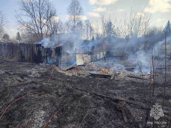 В Новосибирске в ландшафтном пожаре могли сгореть 2 садовых общества 