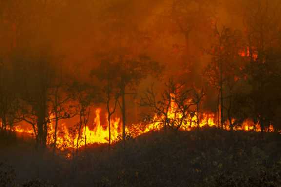 В лесах Красноярского края продолжают усиливать противопожарные меры