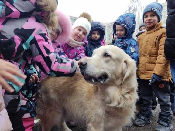 В Красноярске собаки-терапевты побывали в гостях у дошколят
